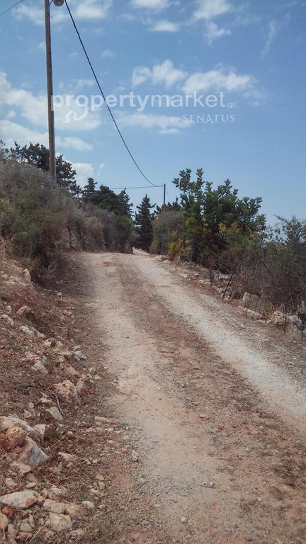 Αγροτεμάχια 2.174 τ.μ. προς πώληση, Κέντρο Γεωργιούπολης