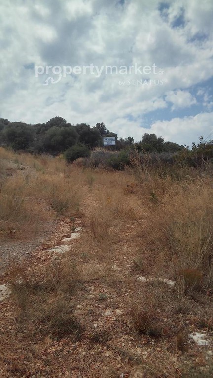Αγροτεμάχια 2.174 τ.μ. προς πώληση, Κέντρο Γεωργιούπολης