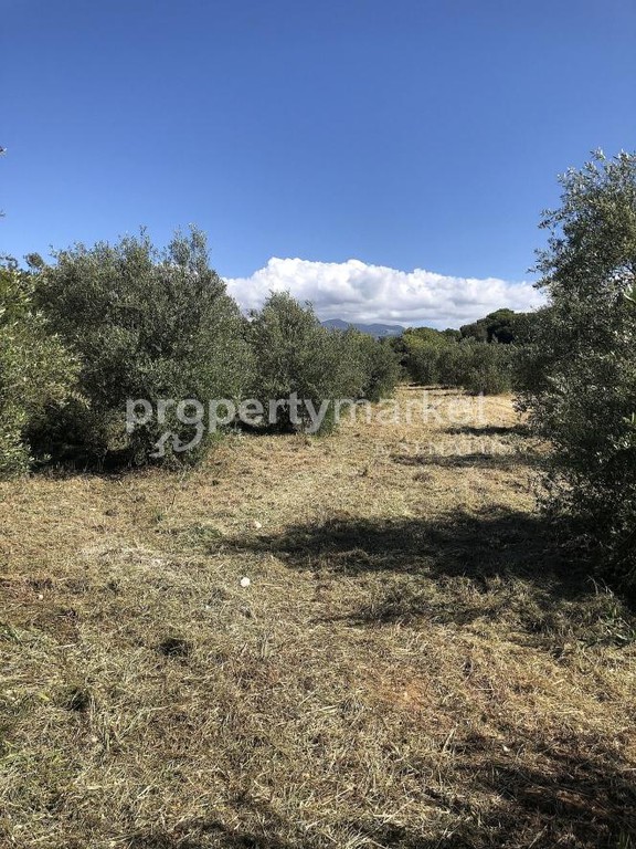 Αγροτεμάχια 3.750 τ.μ. πρός πώληση, Ν. Ρεθύμνου, Γεροπόταμος