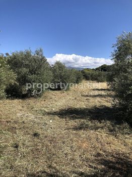 Parcel 3.750sqm for sale-Geropotamos » Aggeliana