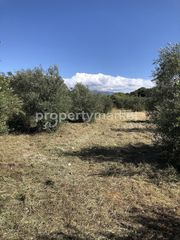 Αγροτεμάχια 3.750 τ.μ. για πώληση