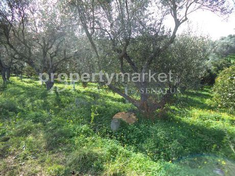Land plot 5.300sqm for sale-Platanias » Center