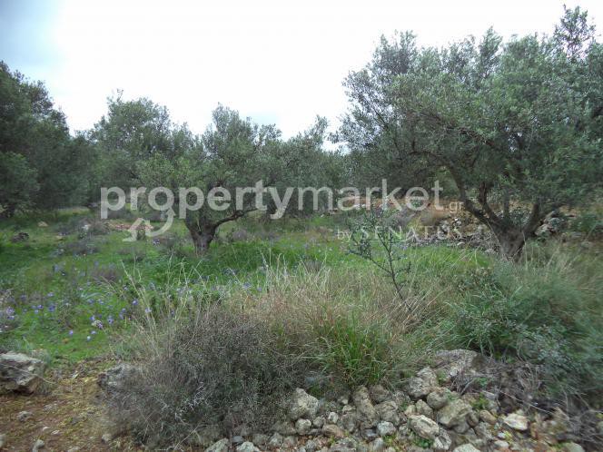 Αγροτεμάχια 4.000 τ.μ. προς πώληση, Χωραφάκια