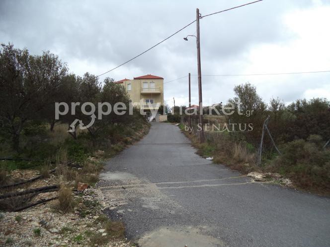 Αγροτεμάχια 4.000 τ.μ. προς πώληση, Χωραφάκια