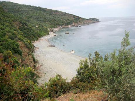 Αγροτεμάχια 1.990τ.μ. για πώληση-Αφέτες » Συκή