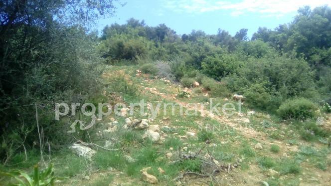 Αγροτεμάχια 4.000 τ.μ. πρός πώληση, Ν. Ρεθύμνου, Ρέθυμνο