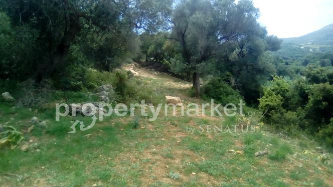 Αγροτεμάχια 4.000 τ.μ. πρός πώληση, Ν. Ρεθύμνου, Ρέθυμνο