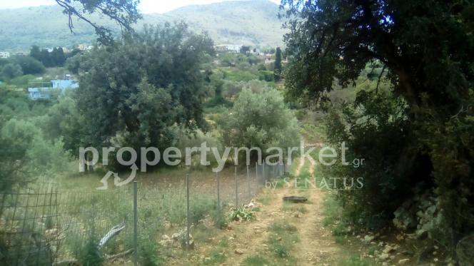 Αγροτεμάχια 4.000 τ.μ. πρός πώληση, Ν. Ρεθύμνου, Ρέθυμνο