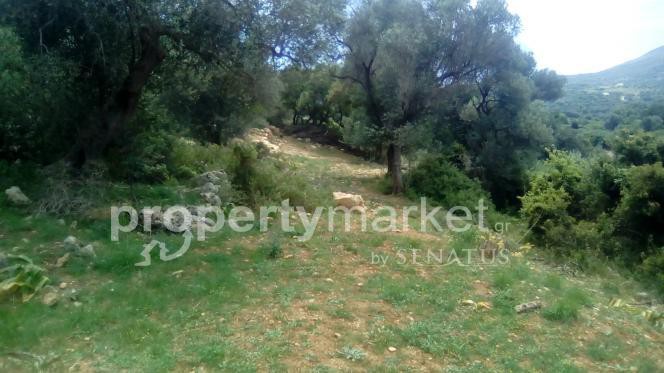Αγροτεμάχια 4.000 τ.μ. πρός πώληση, Ν. Ρεθύμνου, Ρέθυμνο