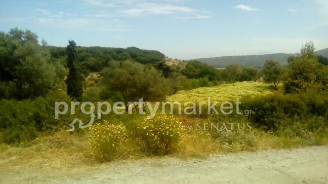 Αγροτεμάχια 4.000 τ.μ. πρός πώληση, Ν. Ρεθύμνου, Ρέθυμνο