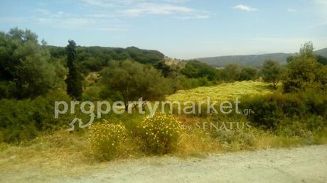Parcel 4.000sqm for sale-Rethimno » Chromonastiri
