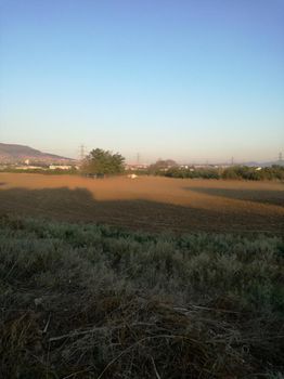 Parcel 6.010sqm for sale-Echedoros » Nea Magnisia