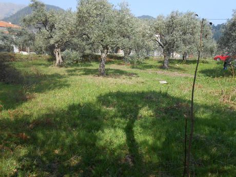 Οικόπεδο 941τ.μ. για πώληση-Θάσος » Ποταμιά