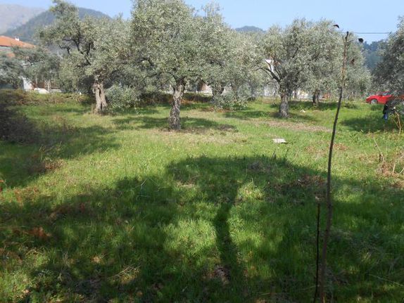 Land plot 941 sqm for sale, Kavala Prefecture, Thasos