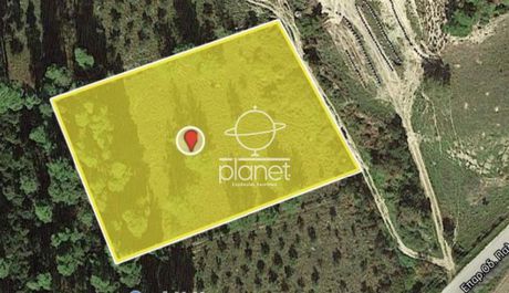 Parcel 4.000sqm for sale-Kassandra » Fourka