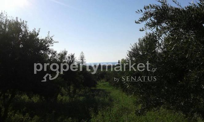 Οικόπεδο 4.159 τ.μ. πρός πώληση, Ν. Ρεθύμνου, Αρκάδι