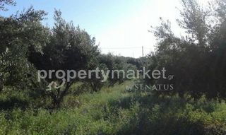 Οικόπεδο 4.159 τ.μ. προς πώληση, Αδελιανός Κάμπος-thumb-8