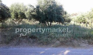 Οικόπεδο 4.159 τ.μ. προς πώληση, Αδελιανός Κάμπος-thumb-11