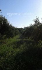 Οικόπεδο 4.159 τ.μ. προς πώληση, Αδελιανός Κάμπος-thumb-10