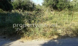 Οικόπεδο 4.159 τ.μ. προς πώληση, Αδελιανός Κάμπος-thumb-9