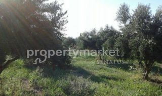 Οικόπεδο 4.159 τ.μ. προς πώληση, Αδελιανός Κάμπος-thumb-5
