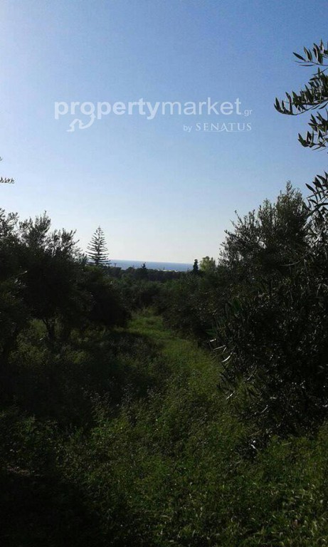 Οικόπεδο 4.159 τ.μ. πρός πώληση, Ν. Ρεθύμνου, Αρκάδι