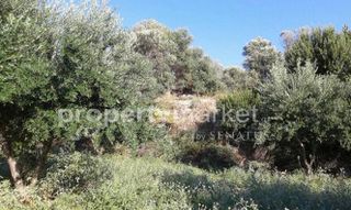 Οικόπεδο 4.159 τ.μ. προς πώληση, Αδελιανός Κάμπος-thumb-6