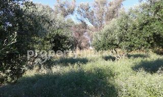 Οικόπεδο 4.159 τ.μ. προς πώληση, Αδελιανός Κάμπος-thumb-7