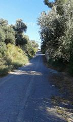 Οικόπεδο 4.159 τ.μ. προς πώληση, Αδελιανός Κάμπος-thumb-3