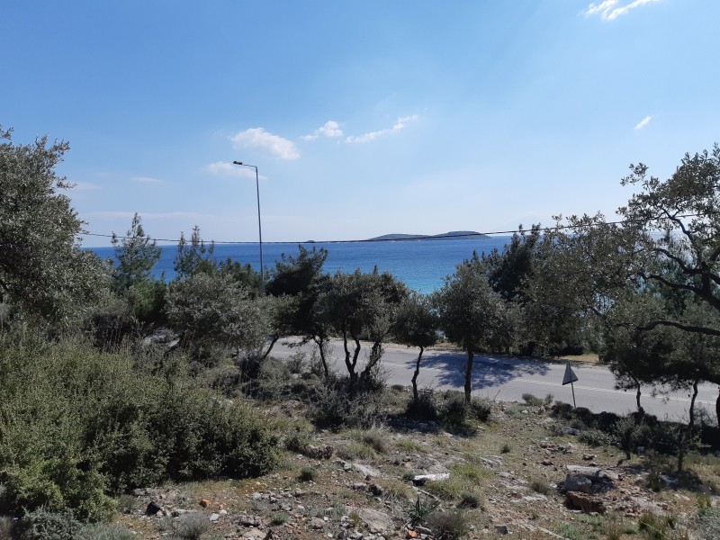 Αγροτεμάχια 1.407 τ.μ. πρός πώληση, Ν. Καβάλας, Θάσος