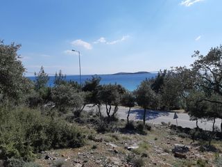 Αγροτεμάχια 1.407 τ.μ. για πώληση, Ν. Καβάλας, Θάσος-thumb-3