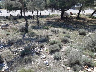 Αγροτεμάχια 1.407 τ.μ. για πώληση, Ν. Καβάλας, Θάσος-thumb-12