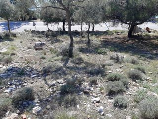 Αγροτεμάχια 1.407 τ.μ. για πώληση, Ν. Καβάλας, Θάσος-thumb-8