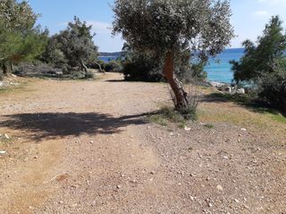 Αγροτεμάχια 1.407 τ.μ. για πώληση, Ν. Καβάλας, Θάσος-thumb-10