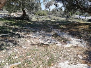 Αγροτεμάχια 1.407 τ.μ. για πώληση, Ν. Καβάλας, Θάσος-thumb-11