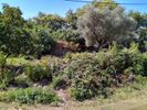 Land plot 1.231sqm for sale-Thasos » Center