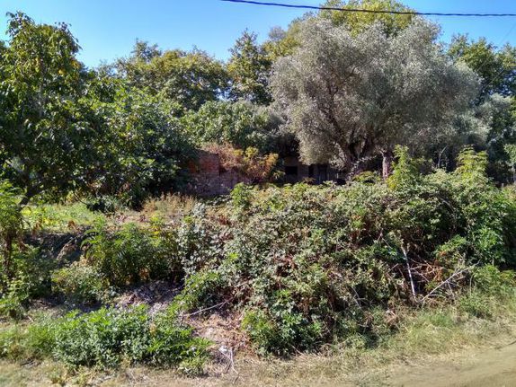 Οικόπεδο 1.231 τ.μ. για πώληση, Ν. Καβάλας, Θάσος