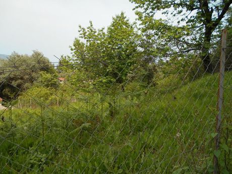 Οικόπεδο 530 τ.μ. για πώληση