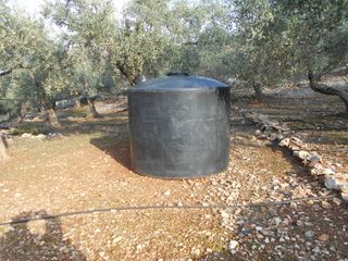 Αγροτεμάχια 30.000 τ.μ. για πώληση, Ν. Καβάλας, Θάσος-thumb-8