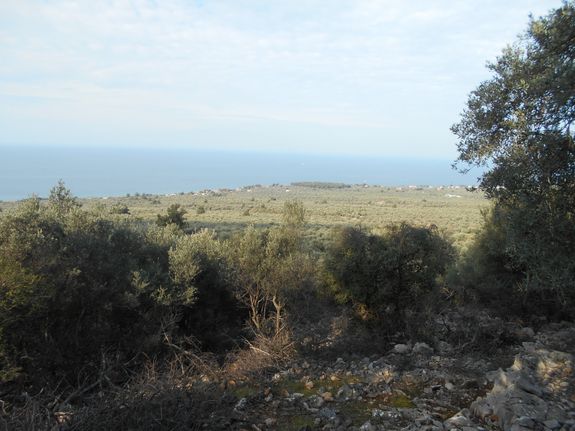Αγροτεμάχια 30.000 τ.μ. για πώληση, Ν. Καβάλας, Θάσος