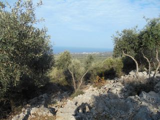 Αγροτεμάχια 30.000 τ.μ. για πώληση, Ν. Καβάλας, Θάσος-thumb-2
