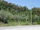 Parcel 6.000sqm for sale-Thasos » Center