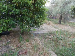 Οικόπεδο 485 τ.μ. για πώληση, Ν. Καβάλας, Θάσος-thumb-4