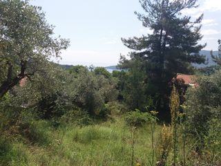 Οικόπεδο 380 τ.μ. προς πώληση, Παναγιά Θάσου-thumb-2