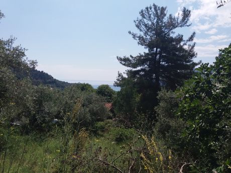 Land plot 380sqm for sale-Thasos » Panagia