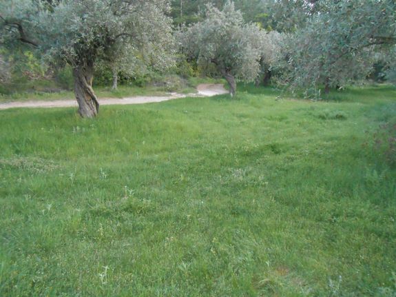 Land plot 715 sqm for sale, Kavala Prefecture, Thasos