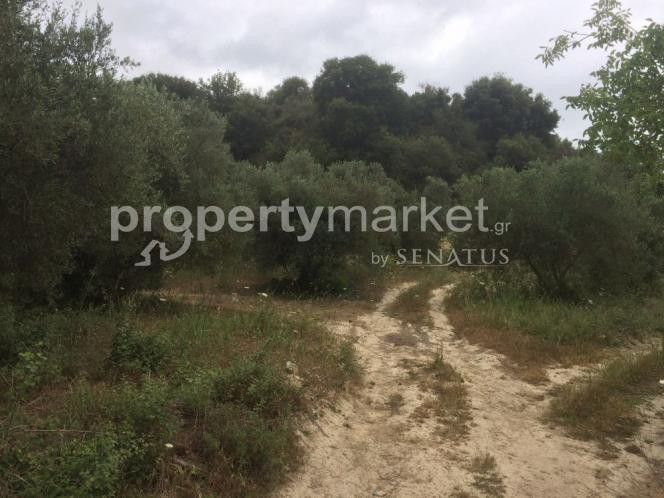 Αγροτεμάχια 34.000 τ.μ. πρός πώληση, Ν. Ρεθύμνου, Αρκάδι