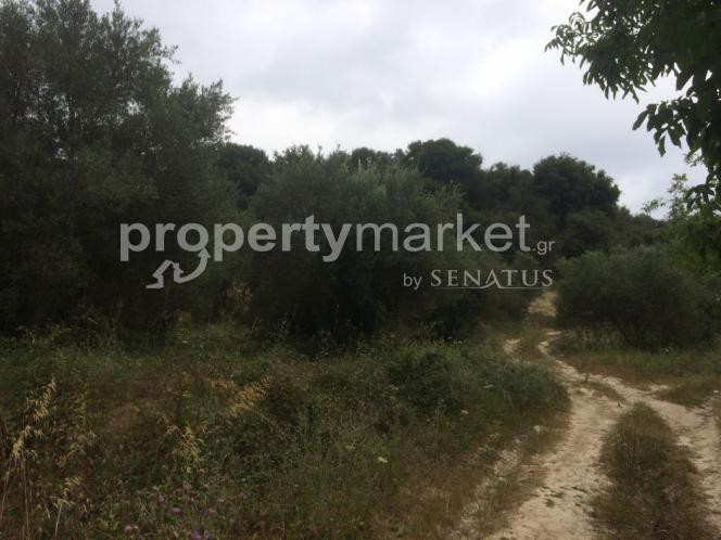 Αγροτεμάχια 34.000 τ.μ. πρός πώληση, Ν. Ρεθύμνου, Αρκάδι