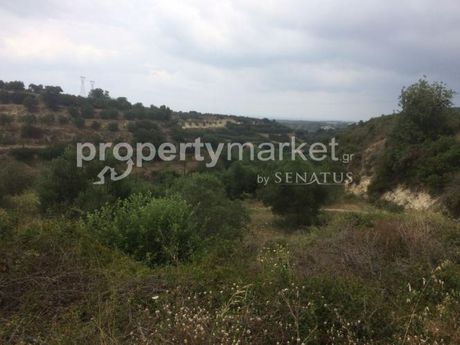 Parcel 34.000sqm for sale-Arkadi » Erfi