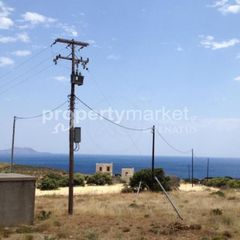 Αγροτεμάχια 5.313 τ.μ. για πώληση